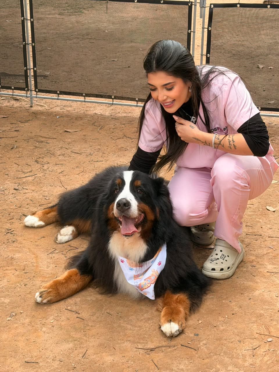 Um bernese de bandana deitado e sorrindo, com a Dra. Rebecca agachada ao lado