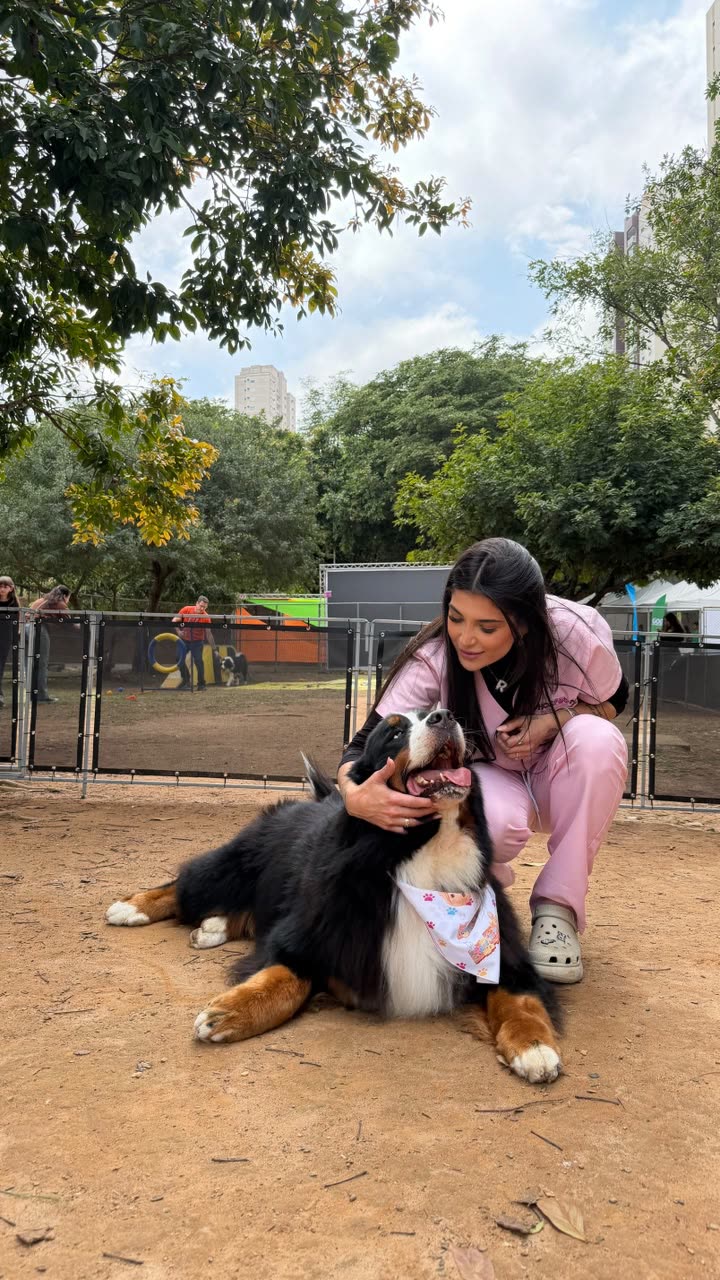 Dra. Rebecca de roupa rosa abraçando um bernese de bandana num parque de cães
